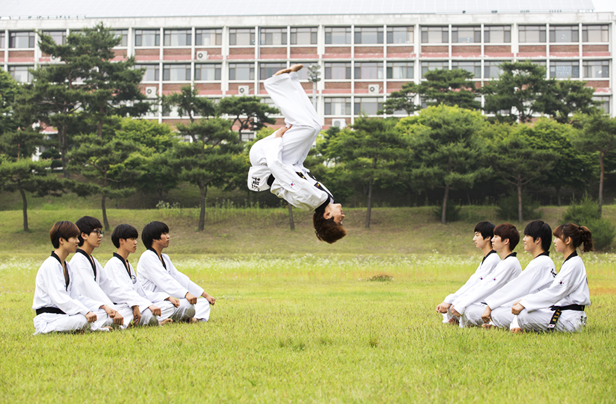 Department of Taekwondo Diplomacy photo
